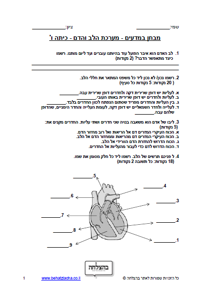 מבחן במדעים לכיתה ו - כיתה ו - מערכת הלב והדם
