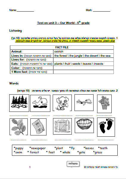 מבחן באנגלית לכיתה ה - כיתה ה - Unit 3 , Our World , ECB מבחן 1
