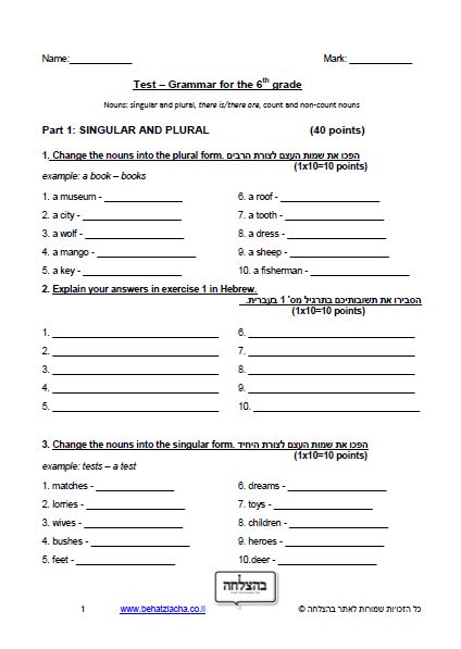 מבחן באנגלית לכיתה ו - Grammar - Nouns: singular and plural, there is/there are, count and non-count nouns - Exam 1