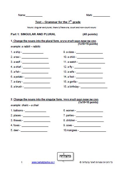 מבחן באנגלית לכיתה ז - Grammar – singular and plural, there is, there are, count and non-count nouns – Exam 2