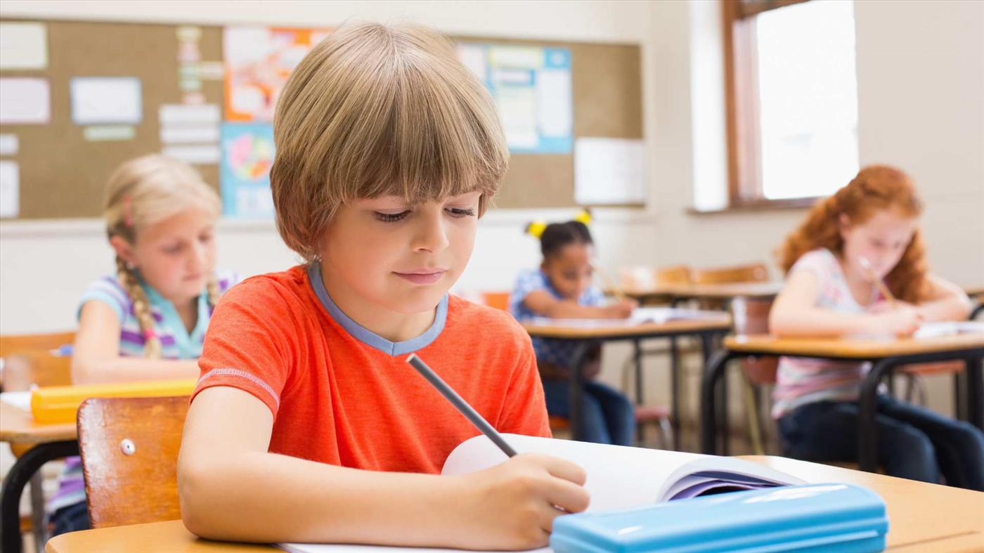 איך המוח שלנו פועל בזמן מבחן